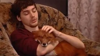 7 Несподіваних причин, чому ваша собака повинна спати в вашому ліжку (собака) 7 Несподіваних причин, чому ваша собака повинна спати в вашому ліжку