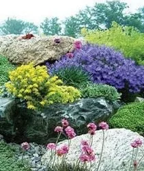 Альпійські гірки своїми руками, на дачі, як зробити, інструкція, з камінням, рослини, фото, відео (своїми) Альпійські гірки своїми руками, на дачі, як зробити, інструкція, з камінням, рослини, фото, відео