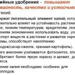 Азотні добрива це якісь і що це таке, застосування в домашніх умовах і види, де купити і
