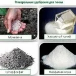 Азотні добрива це якісь і що це таке, застосування в домашніх умовах і види, де купити і