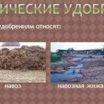 Азотні добрива це якісь і що це таке, застосування в домашніх умовах і види, де купити і