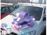 Банти на машину