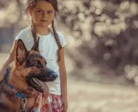 Антіцарапкі для кішок і котів, фото, ціна, інструкція, відгуки