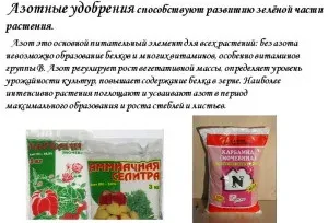Азотні добрива - види та їх застосування відео (азотні добрива які існують) Азотні добрива - види та їх застосування відео
