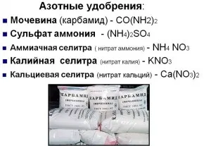Азотні добрива - види та їх застосування відео (добрива) Азотні добрива - види та їх застосування відео