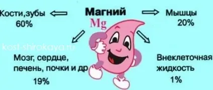 Банан, скільки калорій в банані, банан перед тренуванням, фрукти можна їсти при схудненні, кістка (калорій) Банан, скільки калорій в банані, банан перед тренуванням, фрукти можна їсти при схудненні, кістка