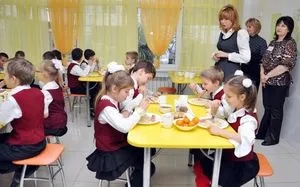 Безкоштовне харчування в школі в 2016 - 2017 навчальному році кому належить і правила його оформлення