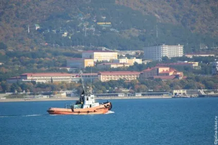 Оксамитовий сезон на чорному морі