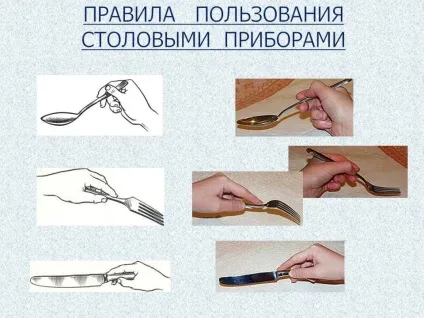 Базові правила поведінки за столом для дітей і дорослих (дітей) Базові правила поведінки за столом для дітей і дорослих