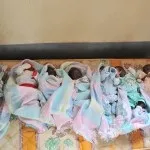 Благодійна організація - посольство життя (життя) Благодійна організація - посольство життя