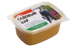 Бонсай-фікус Бенджаміна своїми руками (вирощування бонсай фікуса) Бонсай-фікус Бенджаміна своїми руками