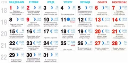 Сприятливі дні посадки картоплі травнем 2017 роки (картоплі) Сприятливі дні посадки картоплі травнем 2017 року