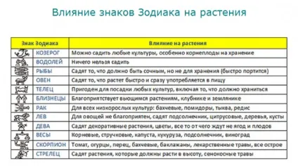 Сприятливі дні посадки картоплі травнем 2017 роки (посадки) Сприятливі дні посадки картоплі травнем 2017 року