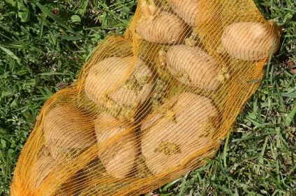 Більше не купуйте картоплю