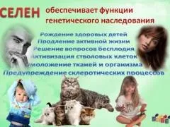 Cелен, в яких є продуктах, симптоми нестачі і надлишку селену (селену) Cелен, в яких є продуктах, симптоми нестачі і надлишку селену