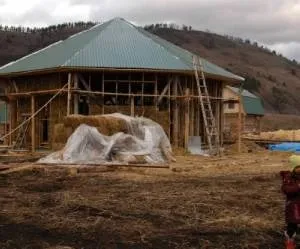Цілющі властивості кедрової живиці - природа - жива бібліотека (кедрової) Цілющі властивості кедрової живиці - природа - жива бібліотека