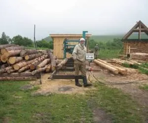 Цілющі властивості кедрової живиці - природа - жива бібліотека (властивості) Цілющі властивості кедрової живиці - природа - жива бібліотека