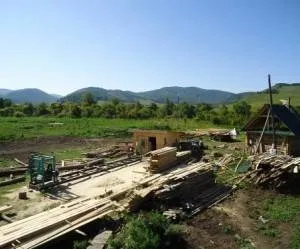 Цілющі властивості кедрової живиці - природа - жива бібліотека (властивості) Цілющі властивості кедрової живиці - природа - жива бібліотека