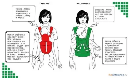 Чим відрізняється ергорюкзак від кенгуру (ергорюкзак) Чим відрізняється ергорюкзак від кенгуру