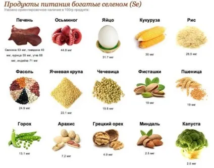 Cелен, в яких є продуктах, симптоми нестачі і надлишку селену (селену) Cелен, в яких є продуктах, симптоми нестачі і надлишку селену