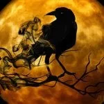 Що мені робити, якщо я не знаю, як бути в ситуації, що склалася (як досягти поставленої мети) Що мені робити, якщо я не знаю, як бути в ситуації, що склалася