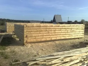 Що краще ялина або сосна для будівництва лазні (краще) Що краще ялина або сосна для будівництва лазні