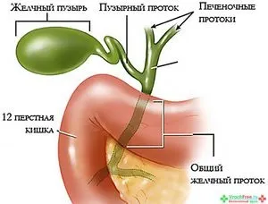 Що потрібно робити при утворенні поліпів в жовчному міхурі (потрібно) Що потрібно робити при утворенні поліпів в жовчному міхурі