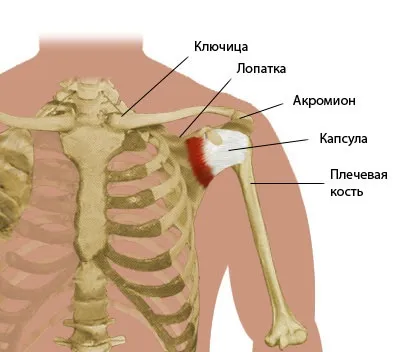 Що робити якщо хрумтить плечовий суглоб і болить (плечовий) Що робити якщо хрумтить плечовий суглоб і болить