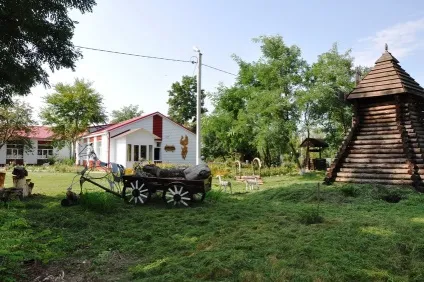 Чернянский район - край реліктових сосен і липових алей (історія) Чернянский район - край реліктових сосен і липових алей