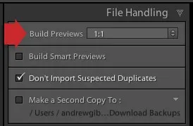 Робимо lightroom швидше, використовуючи формат dng