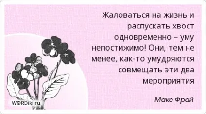 Цитати з маша і ведмідь - афоризми і вислови в картинках, стр (картинках) Цитати з маша і ведмідь - афоризми і вислови в картинках, стор