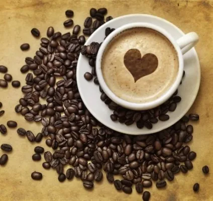 Coffeepedia - енциклопедія кави кофепедія (кофепедія) Coffeepedia - енциклопедія кави кофепедія