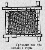 Делікатеси - риб'яча ікра