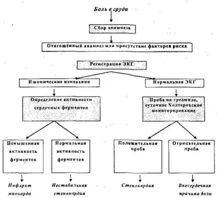 Диференціальна діагностика стенокардії (атеросклероз) Диференціальна діагностика стенокардії