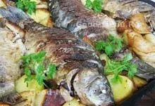Дорадо запечена в духовці - рецепт з покроковими фото (духовці) Дорадо запечена в духовці - рецепт з покроковими фото