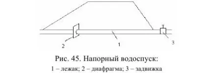 Донні водоспуски - технологія риби і рибних продуктів (водоспуску) Донні водоспуски - технологія риби і рибних продуктів