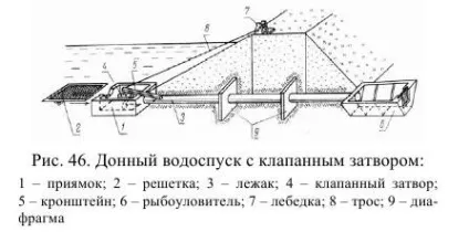 Донні водоспуски - технологія риби і рибних продуктів (водоспуски) Донні водоспуски - технологія риби і рибних продуктів