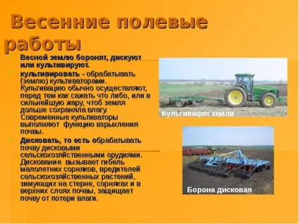 Доповідь по темі як на стіл хліб прийшов (хліб) Доповідь по темі як на стіл хліб прийшов
