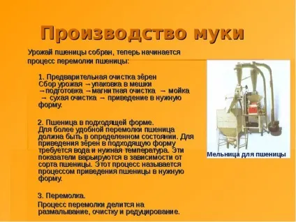 Доповідь по темі як на стіл хліб прийшов (хліб) Доповідь по темі як на стіл хліб прийшов