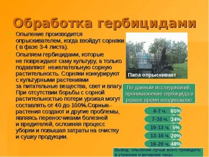 Доповідь по темі як на стіл хліб прийшов (стіл) Доповідь по темі як на стіл хліб прийшов