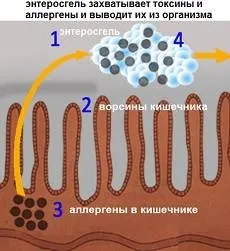 Ентеросгель інструкція із застосування (дорослим пацієнтам дітям) Ентеросгель інструкція із застосування