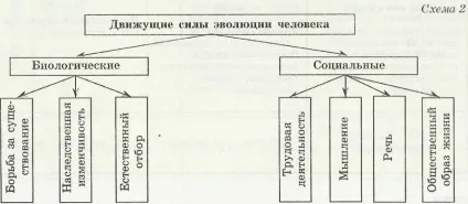 Рушійні сили (фактори) антропогенезу - електронний підручник з біології (наших) Рушійні сили (фактори) антропогенезу - електронний підручник з біології