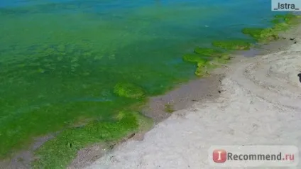 Джемете - «чи варто їхати в Джемете моторошні фото моря в червні», відгуки покупців (їхати) Джемете - «чи варто їхати в Джемете моторошні фото моря в червні», відгуки покупців