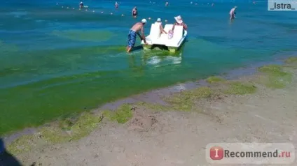 Джемете - «чи варто їхати в Джемете моторошні фото моря в червні», відгуки покупців (фото) Джемете - «чи варто їхати в Джемете моторошні фото моря в червні», відгуки покупців