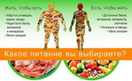 Експерти розповіли як правильно харчуватися з ранку (як правильно харчуватися з ранку) Експерти розповіли як правильно харчуватися з ранку