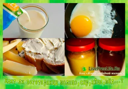 Чи їдять вегетаріанці яйця, молоко, сир, мед та інші спірні продукти - мої відповіді! (Їдять) Чи їдять вегетаріанці яйця, молоко, сир, мед та інші спірні продукти - мої відповіді!