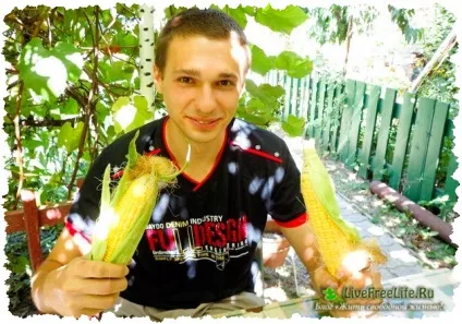 Чи їдять вегетаріанці яйця, молоко, сир, мед та інші спірні продукти - мої відповіді! (Яйця) Чи їдять вегетаріанці яйця, молоко, сир, мед та інші спірні продукти - мої відповіді!