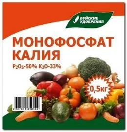 Фіалки на підвіконні, добрива для фіалок Фіалки на підвіконні, добрива для фіалок