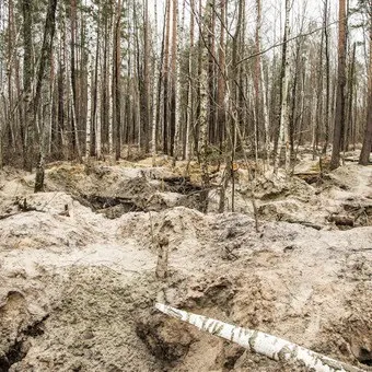Фізичні властивості і якість грунту для будівництва кращі грунти для фундаменту будинку (будівництва) Фізичні властивості і якість грунту для будівництва кращі грунти для фундаменту будинку