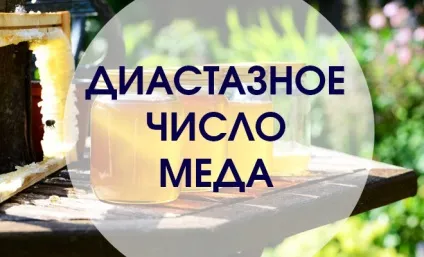 Фермент діастаза в меді або диастазное число меду (фермент) Фермент діастаза в меді або диастазное число меду